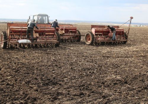 Минсельхоз РБ: сев ведут 34 района республики
